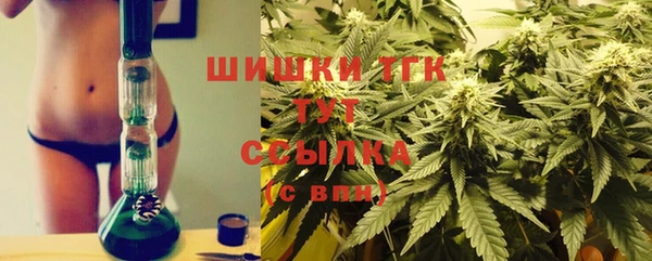 индика Переславль-Залесский