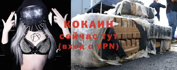 индика Переславль-Залесский