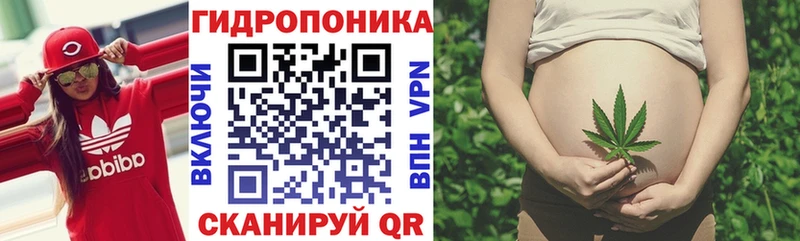 где найти   Красноуральск  blacksprut как зайти  Бошки Шишки марихуана 